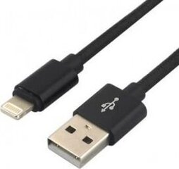 EverActive USB-A - Lightning kaina ir informacija | Laidai telefonams | pigu.lt