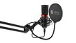 SPC Gear SM950 (SPG053) цена и информация | Mikrofonai | pigu.lt