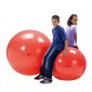 Gimnastikos kamuolys Original PEZZI Physioball 95cm. цена и информация | Gimnastikos kamuoliai | pigu.lt