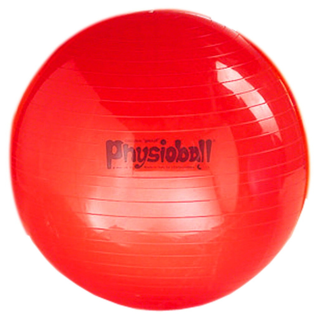 Gimnastikos kamuolys Original PEZZI Physioball 95cm. цена и информация | Gimnastikos kamuoliai | pigu.lt