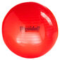 Gimnastikos kamuolys Original PEZZI Physioball 95cm. цена и информация | Gimnastikos kamuoliai | pigu.lt