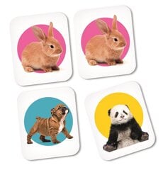 Карточки для развития памяти Clementoni Memo Puppies, 18084 цена и информация | Настольные игры, головоломки | pigu.lt