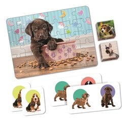 Набор развивающих игр Clementoni Edukit 4in1 - Puppies, 18071 цена и информация | Настольные игры, головоломки | pigu.lt