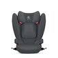 Automobilinė kėdutė CBX by Cybex Yari, 2/3 (15-36 kg), Cozy Black kaina ir informacija | Autokėdutės | pigu.lt