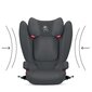 Automobilinė kėdutė CBX by Cybex Yari, 2/3 (15-36 kg), Cozy Black kaina ir informacija | Autokėdutės | pigu.lt