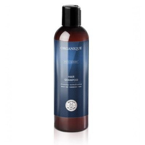 Vyriškas šampūnas Organigue Pour Homme Hair Shampoo, 250 ml kaina ir informacija | Šampūnai | pigu.lt