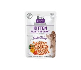Brit Care Fillets in Gravy Turkey Kitten влажный корм для котят 85г цена и информация | Консервы для кошек | pigu.lt