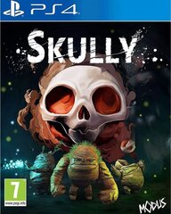 Skully, Playstation 4 цена и информация | Компьютерные игры | pigu.lt
