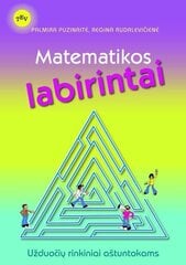 Matematikos labirintai. Užduočių rinkiniai aštuntokams kaina ir informacija | Pratybų sąsiuviniai | pigu.lt