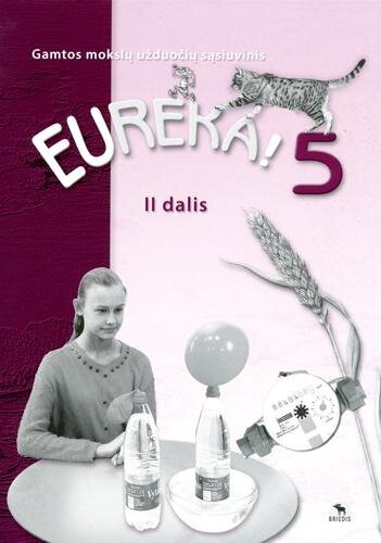 Eureka! 5. Užduočių sąsiuvinis 5 kl., II d. цена и информация | Pratybų sąsiuviniai | pigu.lt