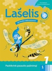 Lašelis pirmoko labirintuose. Pasitikrink pasaulio pažinimą! цена и информация | Рабочие тетради | pigu.lt