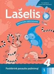 Lašelis ketvirtoko labirintuose. Pasitikrink pasaulio pažinimą! kaina ir informacija | Pratybų sąsiuviniai | pigu.lt