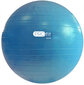 Gimnastikos kamuolys Profit DK 2102, 65 cm, su pompa kaina ir informacija | Gimnastikos kamuoliai | pigu.lt