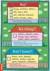 Ką? Ko? Kur? Kame? kaina ir informacija | Pratybų sąsiuviniai | pigu.lt