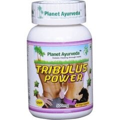 Maisto papildas Planet Ayurveda Tribulus Power, 60 kapsulių kaina ir informacija | Testosterono skatintojai | pigu.lt