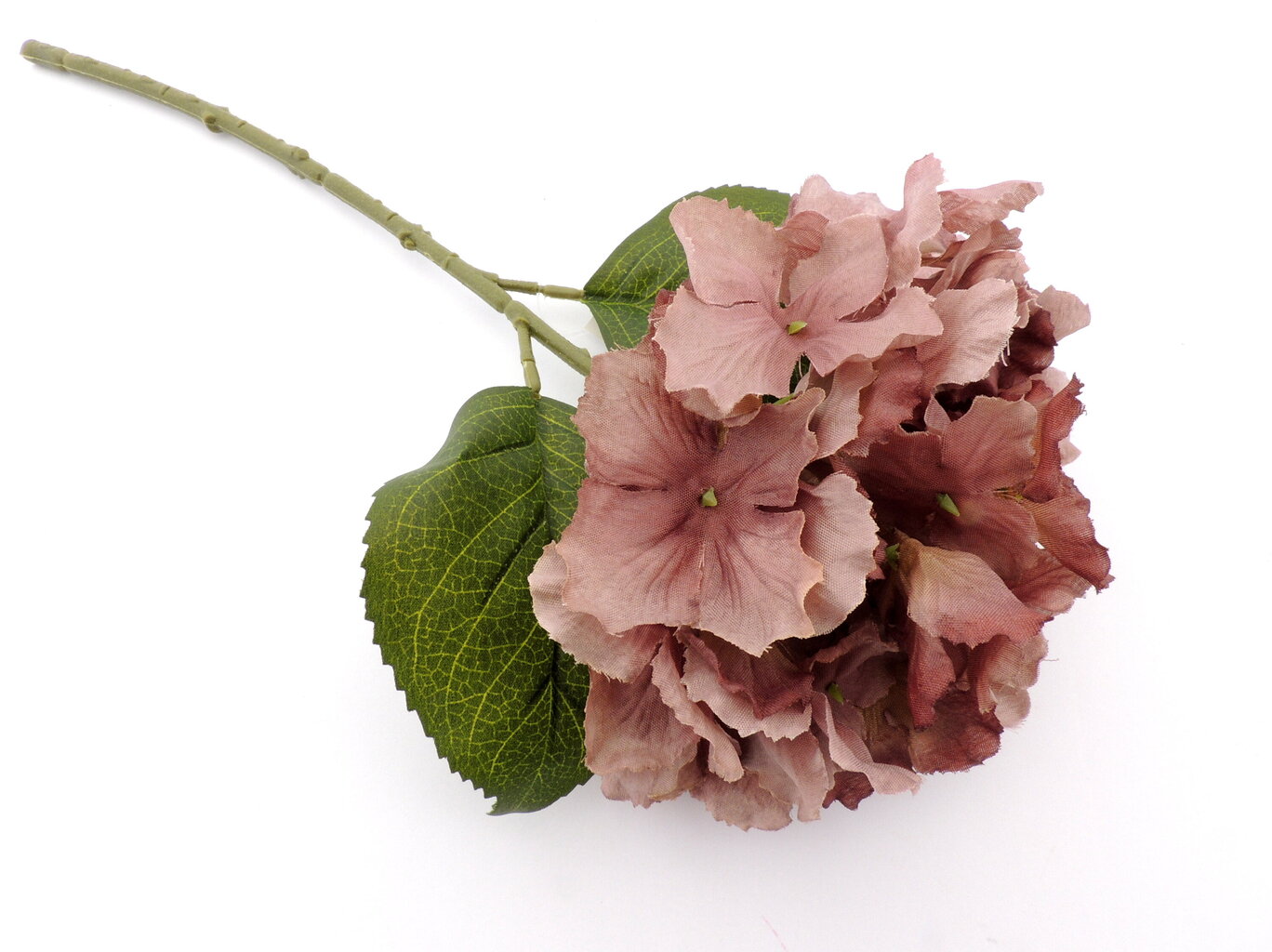 Hortenzija su koteliu kaina ir informacija | Dirbtinės gėlės | pigu.lt