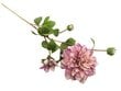 Dirbtinė gėlė - jurginas violetinis цена и информация | Dirbtinės gėlės | pigu.lt