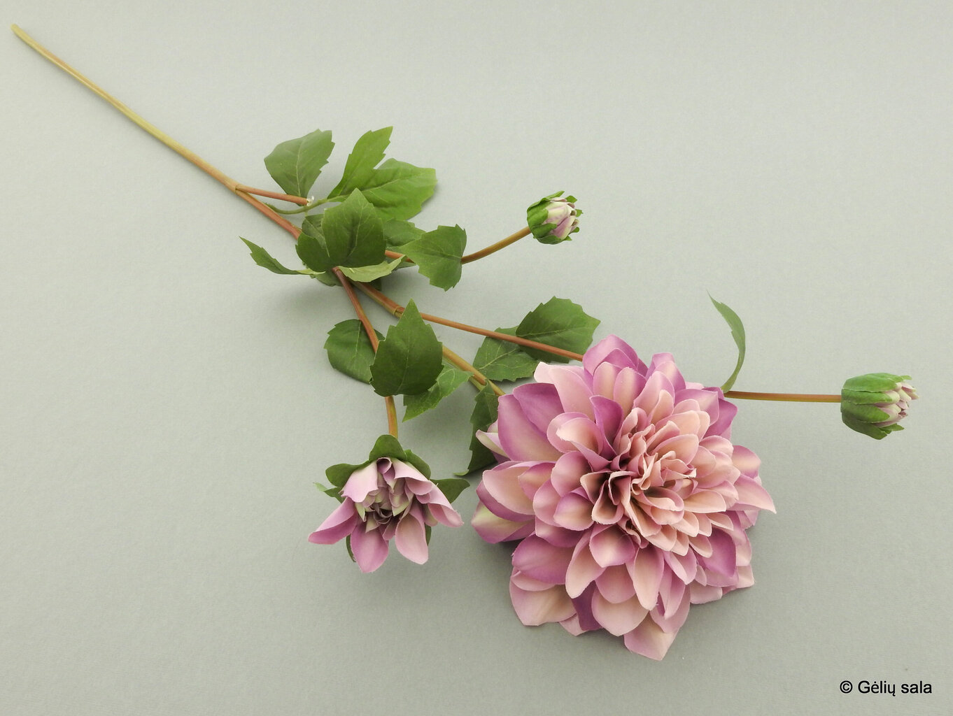 Dirbtinė gėlė - jurginas violetinis kaina ir informacija | Dirbtinės gėlės | pigu.lt