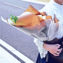 Matinis celofanas gėlėms pakuoti, lapais bordinės spalvos kaina ir informacija | Floristikos reikmenys | pigu.lt
