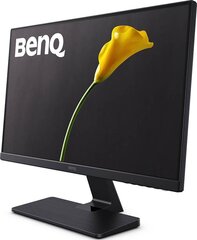 BenQ 9H.LFELA.TBE, 23.8" цена и информация | Мониторы | pigu.lt