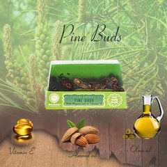 Glicerino muilas PINE BUDS Saules Fabrika 80 g kaina ir informacija | Muilai | pigu.lt