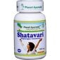 Maisto papildas Planet Ayurveda „Shatavari (Šatavari)", 60 kapsulių kaina ir informacija | Vitaminai, maisto papildai, preparatai gerai savijautai | pigu.lt