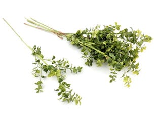 Зеленая веточка, 58 см цена и информация | Искусственные цветы | pigu.lt