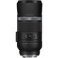 Canon RF 600mm F11 IS STM цена и информация | Objektyvai | pigu.lt