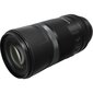 Canon RF 600mm F11 IS STM цена и информация | Objektyvai | pigu.lt