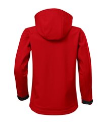 Kуртка Performance Softshell для детей, цвета лайма цена и информация | Куртка для мальчика | pigu.lt