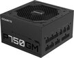 Gigabyte GP-P750G kaina ir informacija | Maitinimo šaltiniai (PSU) | pigu.lt