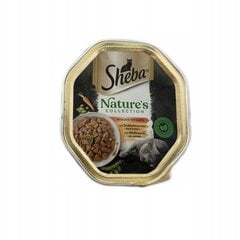 Sheba Sauce Speciale katėms su kalakutiena ir daržovėmis, 22x85 g kaina ir informacija | Konservai katėms | pigu.lt