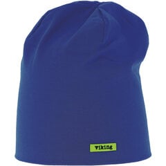 Kepurė berniukams Hat Hex, mėlyna kaina ir informacija | Žiemos drabužiai vaikams | pigu.lt