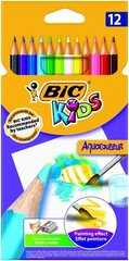 Карандаши цветные BIC CC. AQUA33. CBW12 EU, 12 цветных карандашей, 000280 цена и информация | Принадлежности для рисования, лепки | pigu.lt