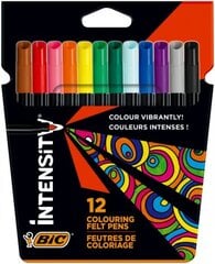 Flomasteriai "Bic felt pens color up", 12 spalvų rinkinys kaina ir informacija | Piešimo, tapybos, lipdymo reikmenys | pigu.lt