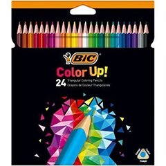 Spalvoti pieštukai Color Up 24 spalvų rinkinys, 950528 kaina ir informacija | Piešimo, tapybos, lipdymo reikmenys | pigu.lt