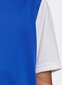 Treniruočių marškinėliai Adidas Estro 19 Jersey Junior, mėlyni, 176cm цена и информация | Futbolo apranga ir kitos prekės | pigu.lt