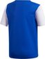 Treniruočių marškinėliai Adidas Estro 19 Jersey Junior, mėlyni, 176cm цена и информация | Futbolo apranga ir kitos prekės | pigu.lt