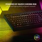 Razer Cynosa V2 US Membrane kaina ir informacija | Klaviatūros | pigu.lt