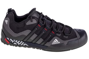 Спортивная обувь для мужчин Adidas Terrex Swift Solo FX9323 цена и информация | Кроссовки мужские | pigu.lt