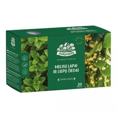 Травяной чай Листья мелиссы и цветы липы, 24 г (1,2x20) цена и информация | Чай | pigu.lt