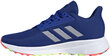 Sportiniai batai vaikams Adidas Duramo 9 K, mėlyni kaina ir informacija | Sportiniai batai vaikams | pigu.lt