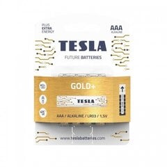 Батарейки Tesla AAA Gold + Alkaline LR03 1250 мАч, 4 шт. цена и информация | Батарейки | pigu.lt