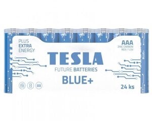 Baterija Tesla AAA, R03 550 mAh (24 vnt) kaina ir informacija | Elementai | pigu.lt