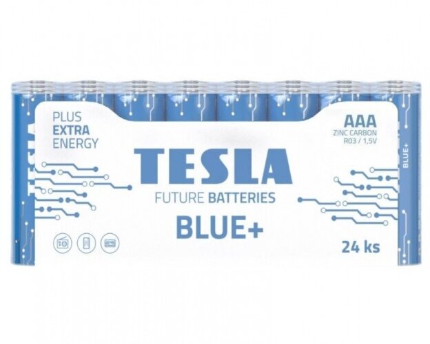 Baterija Tesla AAA, R03 550 mAh (24 vnt) kaina ir informacija | Elementai | pigu.lt