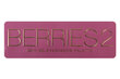BYS Akių šešėlių paletė Berries 2, 12 g kaina ir informacija | Akių šešėliai, pieštukai, blakstienų tušai, serumai | pigu.lt