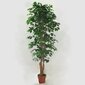 Dirbtinis augalas Fikusas 2, 180cm kaina ir informacija | Dirbtinės gėlės | pigu.lt