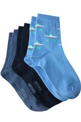 Детские носки (3 пары в упаковке) «Звёзды» цена и информация | Колготки, носочки для новорожденных | pigu.lt
