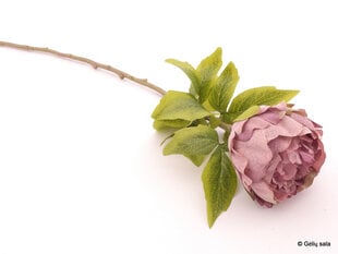 Искусственный пион цена и информация | Искусственные цветы | pigu.lt