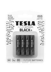 Батарейки Tesla AAA Black + LR03, 4 шт. цена и информация | Батарейки | pigu.lt